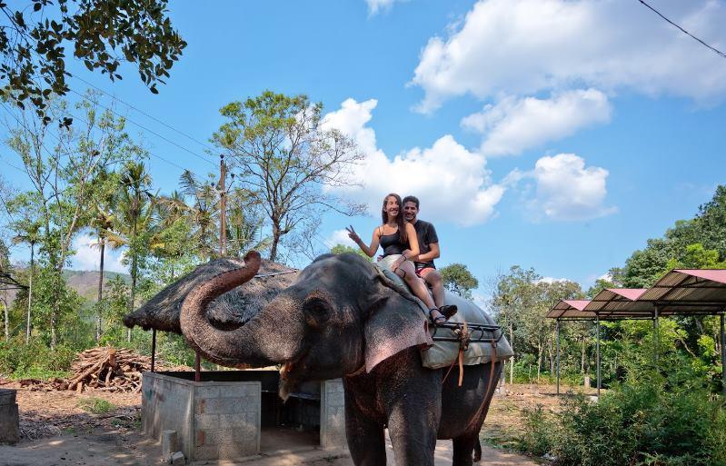 Green Leaf Home Stay Thekkady Exteriör bild
