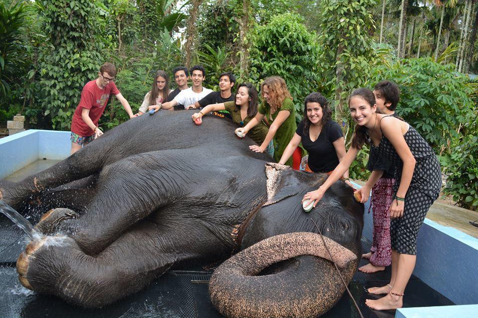 Green Leaf Home Stay Thekkady Exteriör bild