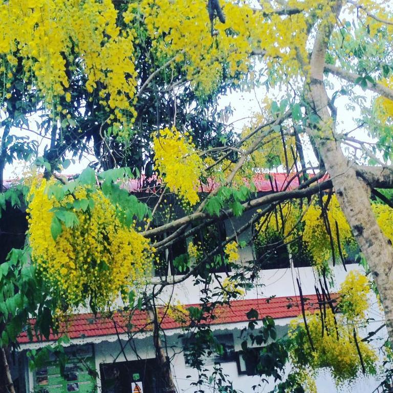 Green Leaf Home Stay Thekkady Exteriör bild