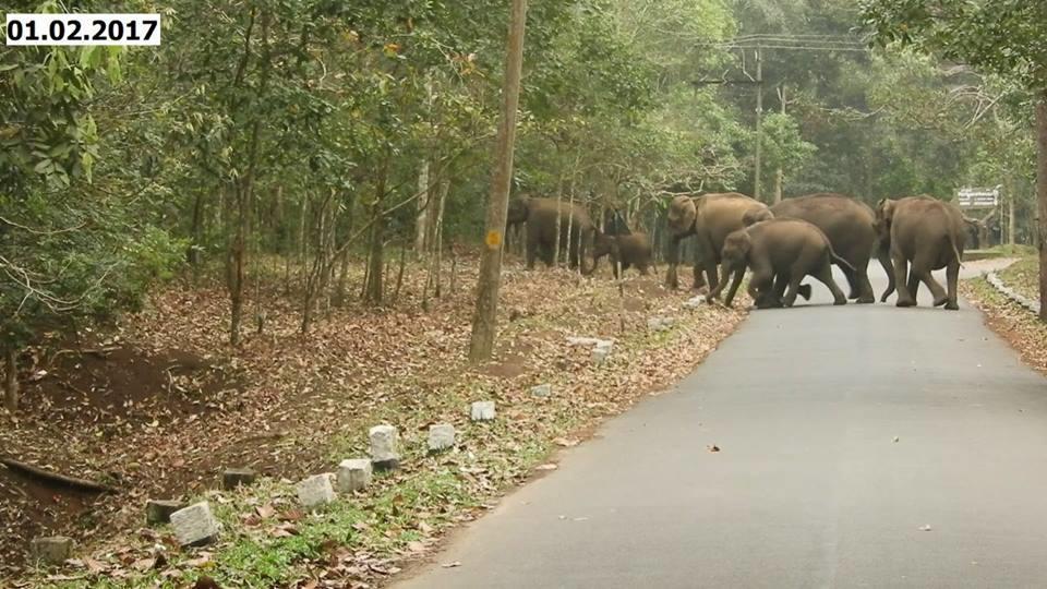 Green Leaf Home Stay Thekkady Exteriör bild